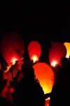 Lanterns-9659
