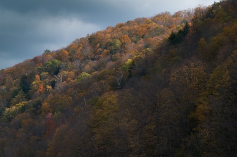 Fall, post-peak-2974