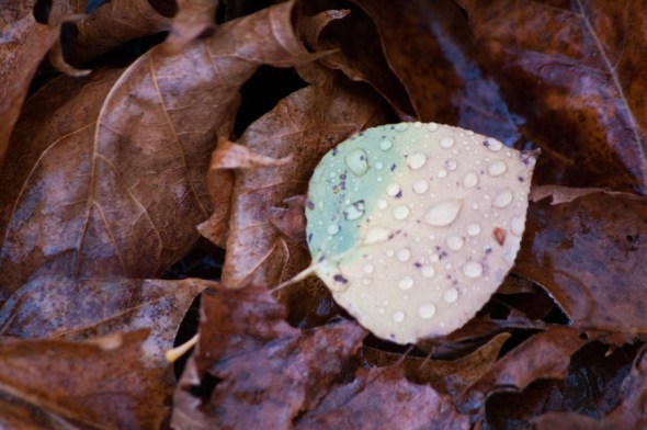 and even closer—with a story to be told.