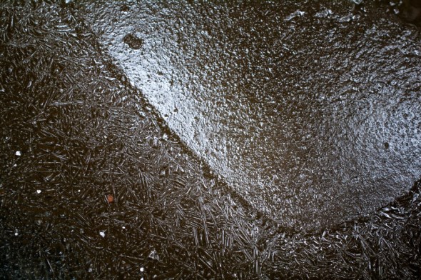 At a quiet bend in the stream two kinds of ice meet.