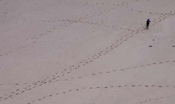 A young child enjoying wandering on a beach in Wales near Tenby.