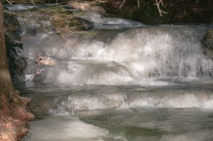 A small part of the stream shows ice forming in the falling water, the two very close in temperature.