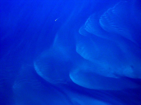  • Gulf Shoals and Boat Any photographer who says serendipity doesn’t figure into their work is lying! As I flew back over the Florida Keys I saw the sand shoals below and then, suddenly, noticed a motorboat and its wake. Three clicks later and I was damned lucky to have this fine image. 