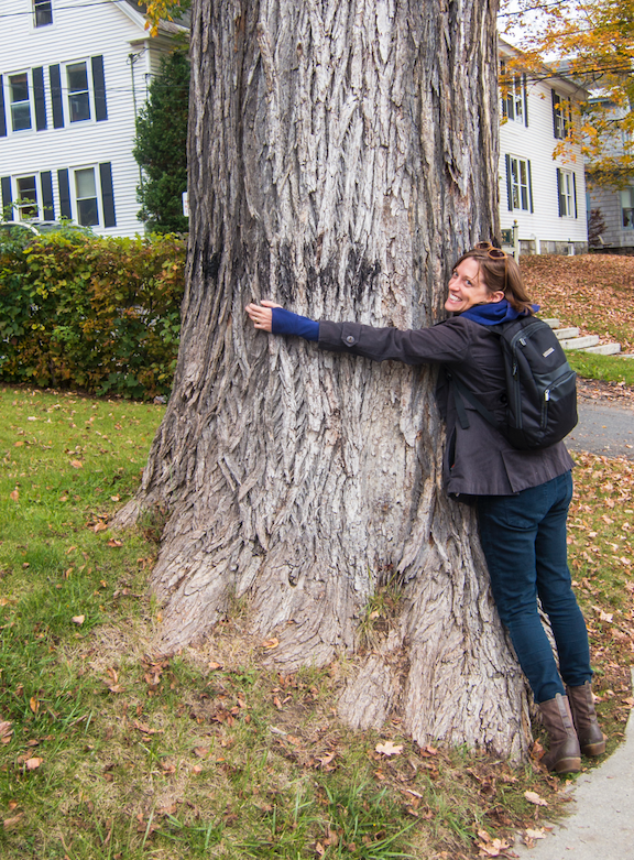 Screen Shot 2020-03-20 at 8.52.23 AM