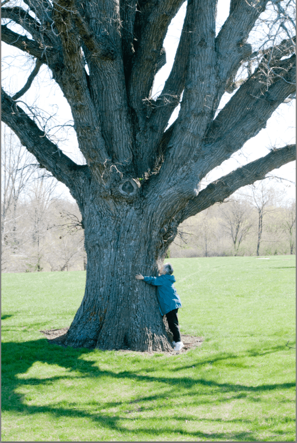 Screen Shot 2020-03-20 at 8.59.22 PM