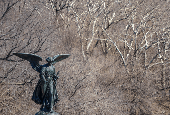 Screen Shot 2020-03-20 at 9.15.25 PM