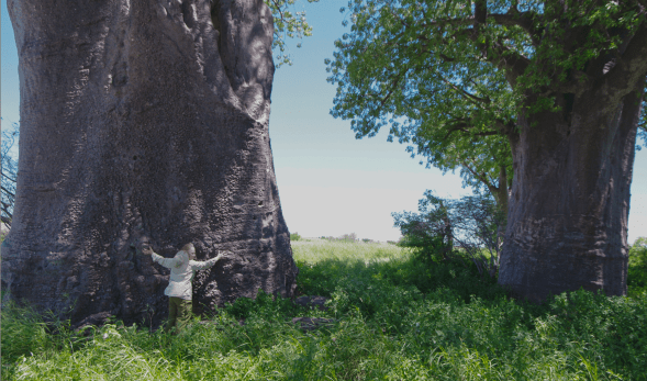 Screen Shot 2020-03-20 at 9.20.20 PM