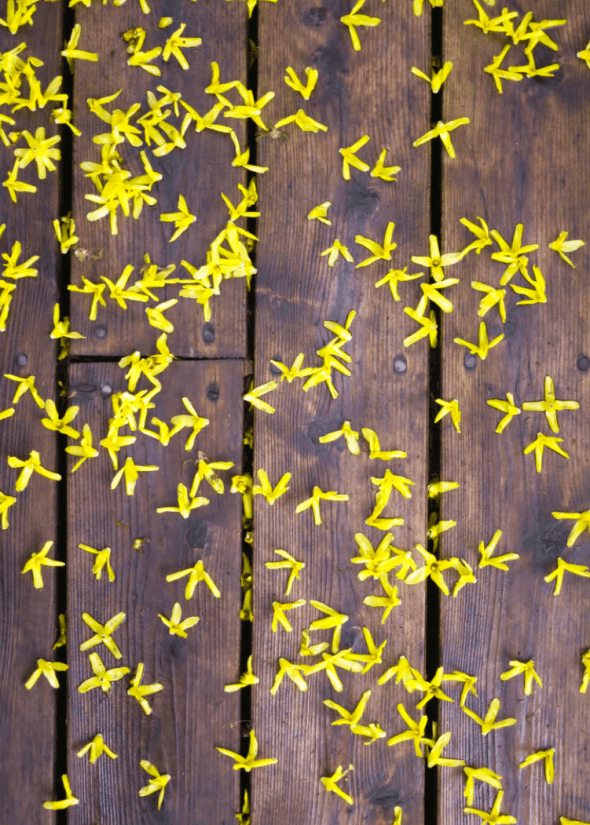 Screen Shot 2020-03-21 at 6.04.59 PM