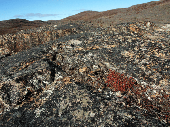 Screen Shot 2020-03-26 at 5.30.31 PM