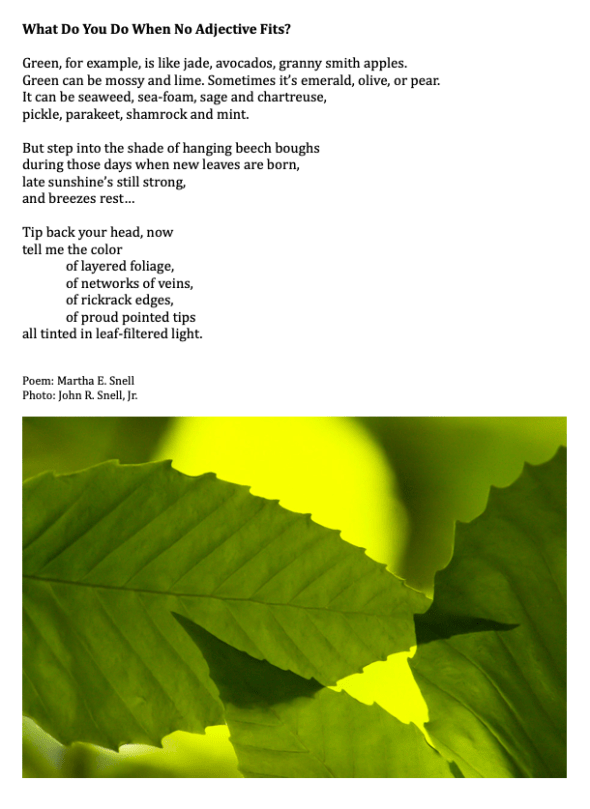 Screen Shot 2020-04-05 at 7.40.33 AM